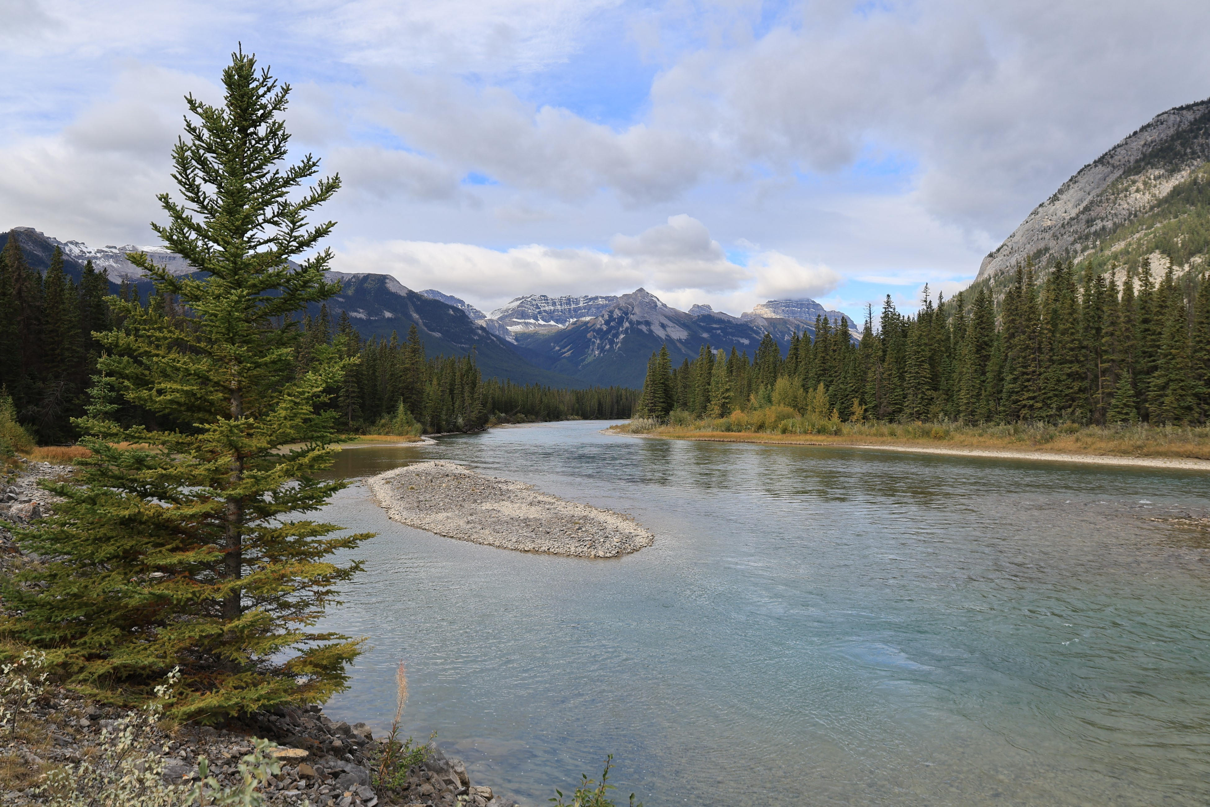 NP Banff